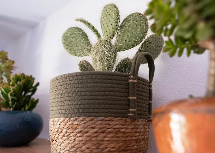 Apartmán Charming With Balcony - Heart Of Cristianos *